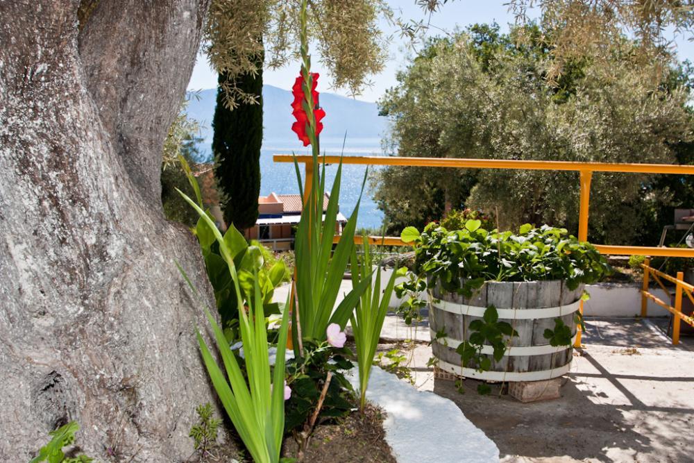 Valedina Rooms Никиана Екстериор снимка